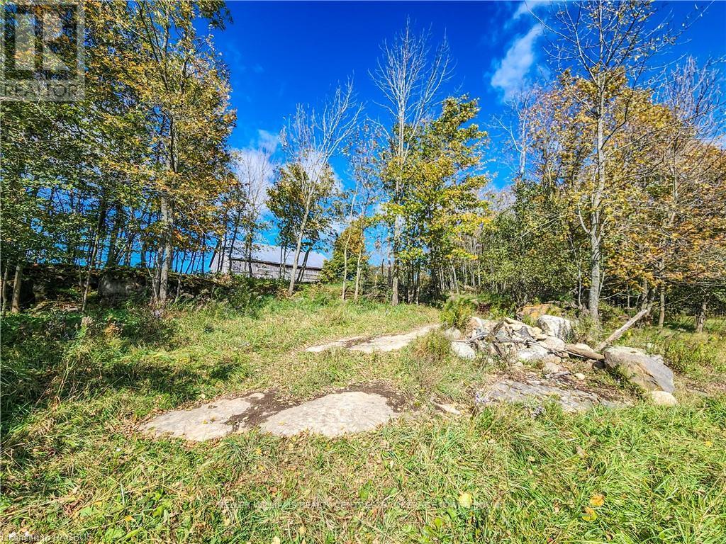 Lt 1-2 Cameron Road, Northern Bruce Peninsula, Ontario  N0H 2T0 - Photo 22 - X10846811