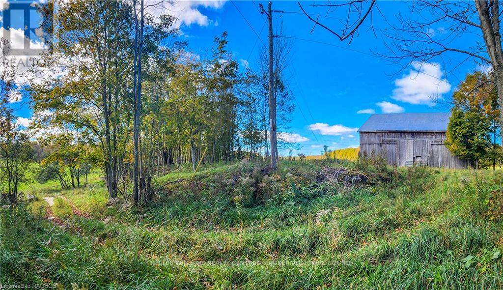 Lt 1-2 Cameron Road, Northern Bruce Peninsula, Ontario  N0H 2T0 - Photo 23 - X10846811