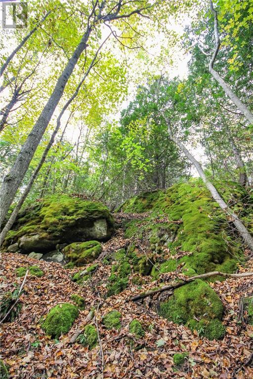 Lt 1-2 Cameron Road, Northern Bruce Peninsula, Ontario  N0H 2T0 - Photo 40 - X10846811