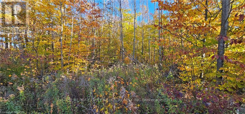 PT LT 22-23 MAPLE DRIVE, northern bruce peninsula, Ontario