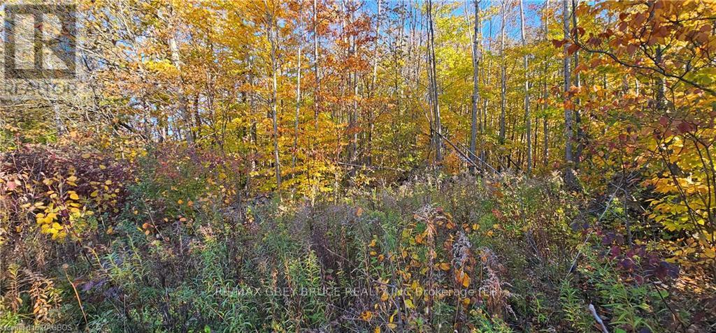 Pt Lt 22-23 Maple Drive, Northern Bruce Peninsula, Ontario  N0H 1Z0 - Photo 2 - X10846914