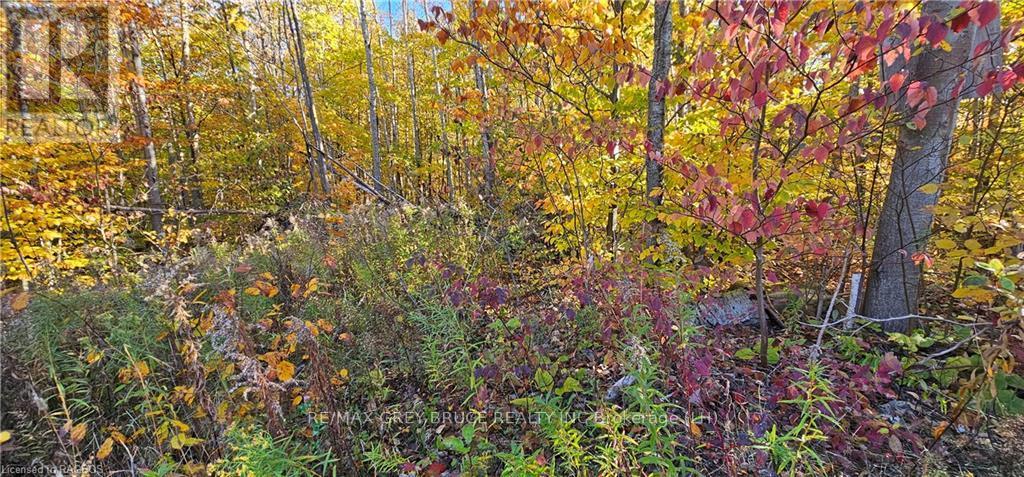 Pt Lt 22-23 Maple Drive, Northern Bruce Peninsula, Ontario  N0H 1Z0 - Photo 3 - X10846914