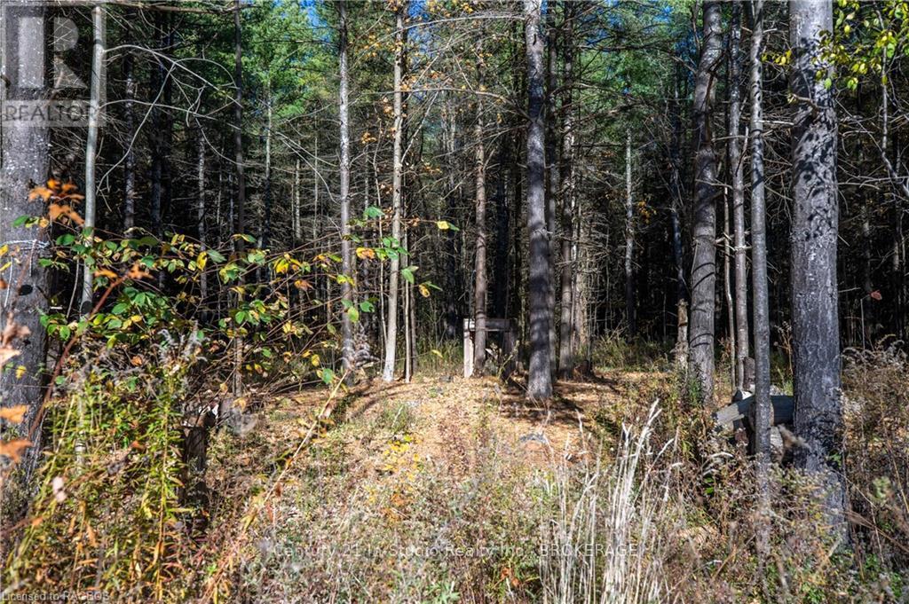 777215 Highway 10, Chatsworth, Ontario  N0H 1R0 - Photo 10 - X10847022