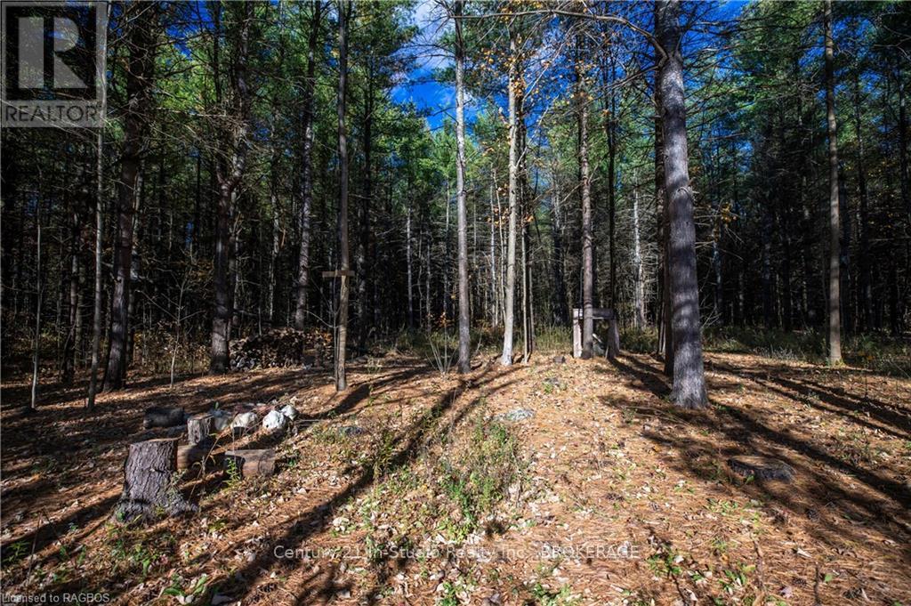 777215 Highway 10, Chatsworth, Ontario  N0H 1R0 - Photo 11 - X10847022