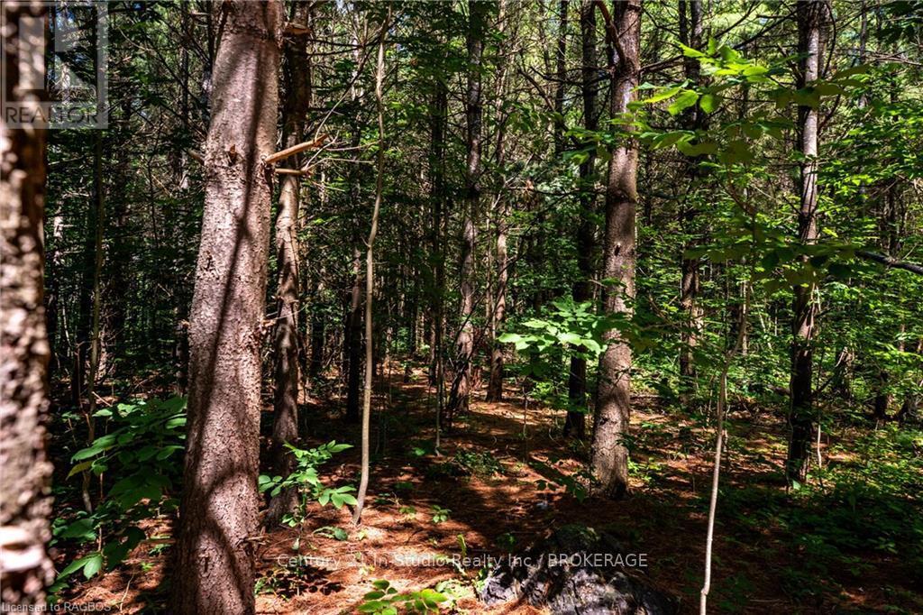 777215 Highway 10, Chatsworth, Ontario  N0H 1R0 - Photo 13 - X10847022