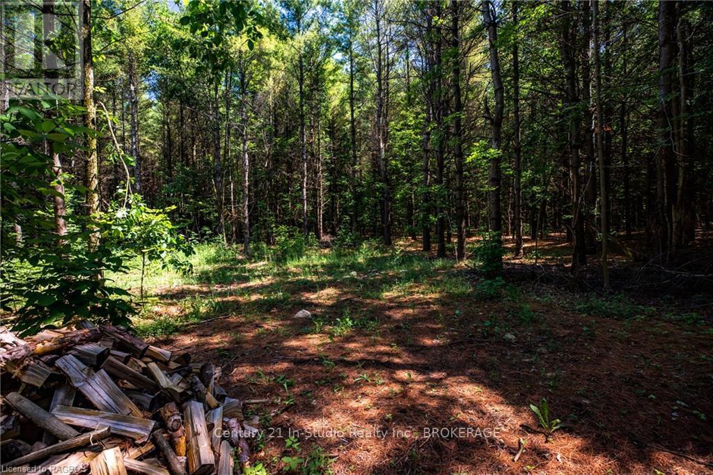 777215 Highway 10, Chatsworth, Ontario  N0H 1R0 - Photo 14 - X10847022