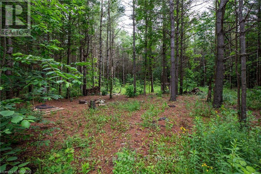 777215 Highway 10, Chatsworth, Ontario  N0H 1R0 - Photo 15 - X10847022