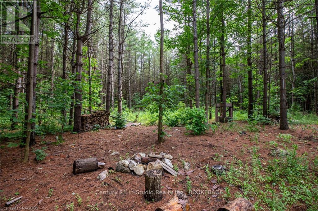 777215 Highway 10, Chatsworth, Ontario  N0H 1R0 - Photo 16 - X10847022