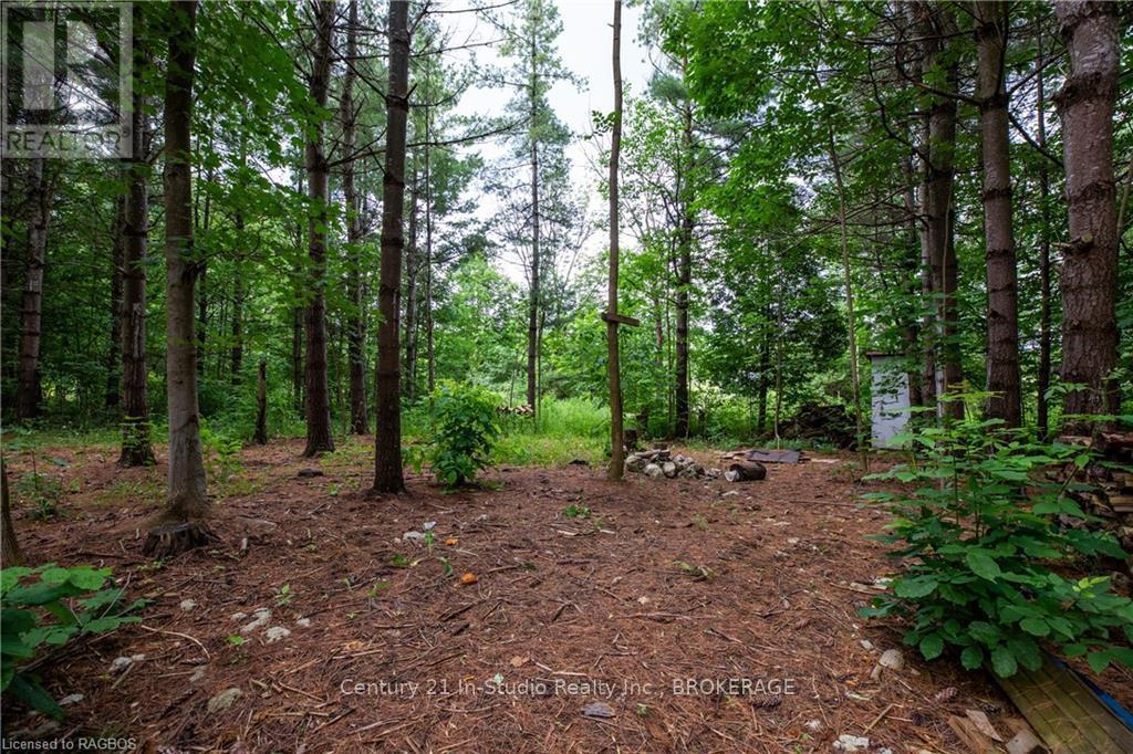 777215 Highway 10, Chatsworth, Ontario  N0H 1R0 - Photo 17 - X10847022