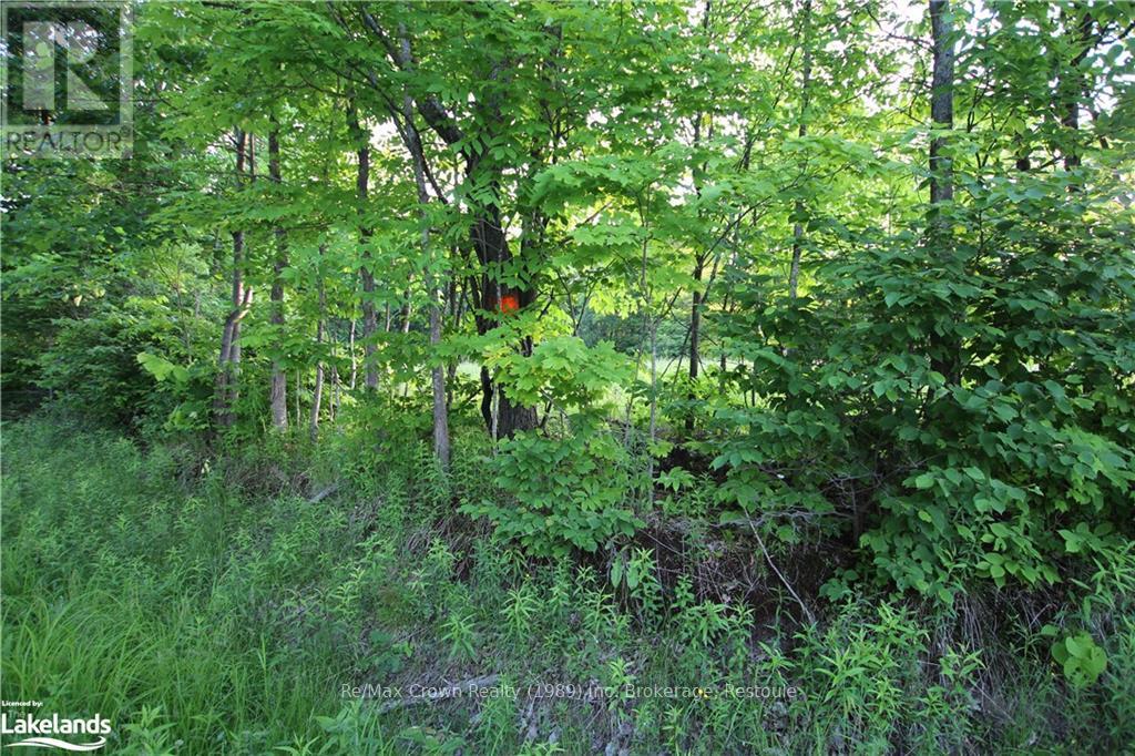 0a Pilgers Road, Nipissing, Ontario  P0H 1J0 - Photo 11 - X10437621