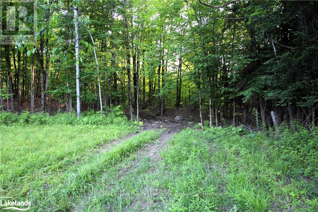0a Pilgers Road, Nipissing, Ontario  P0H 1J0 - Photo 12 - X10437621