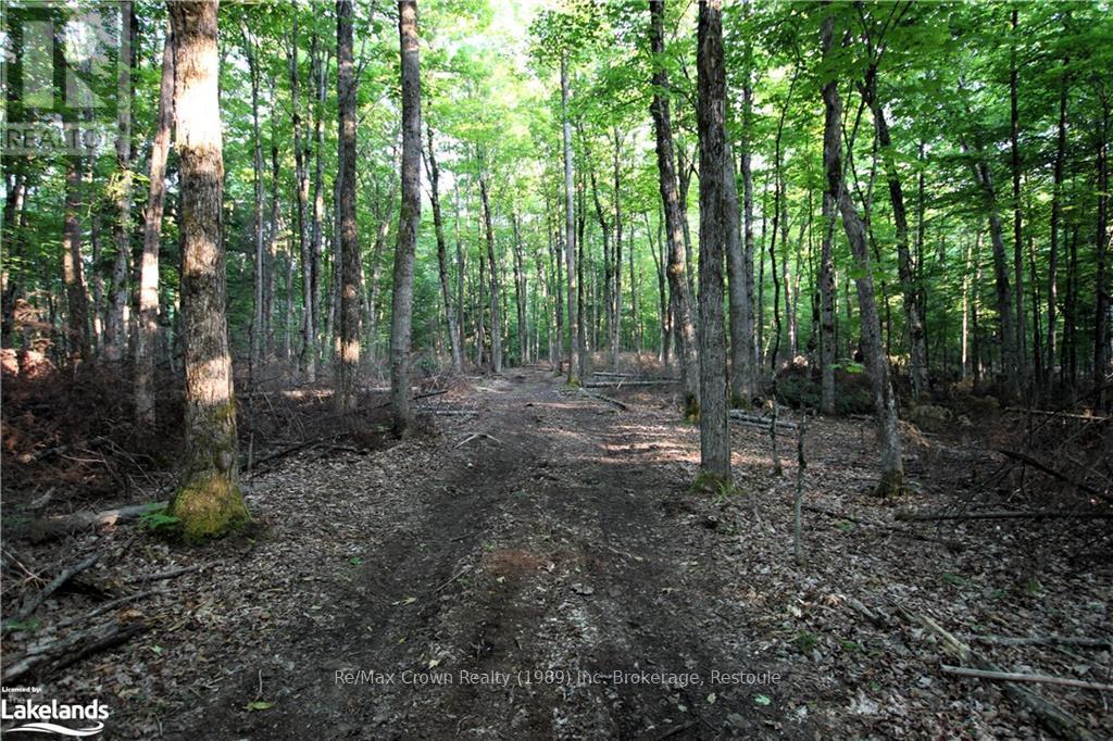 0a Pilgers Road, Nipissing, Ontario  P0H 1J0 - Photo 13 - X10437621