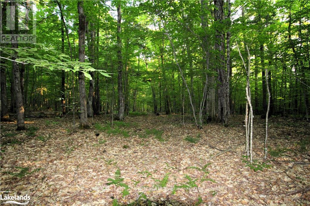 0a Pilgers Road, Nipissing, Ontario  P0H 1J0 - Photo 21 - X10437621
