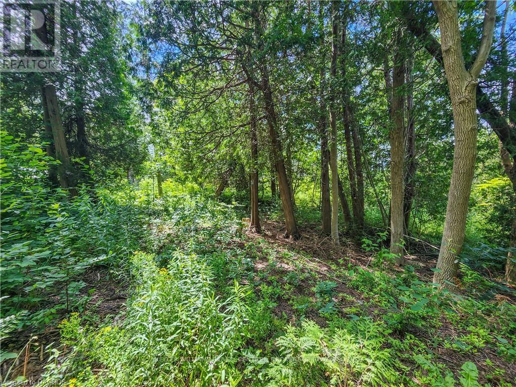 151 Mallard St, Georgian Bluffs, Ontario  N0H 2T0 - Photo 12 - X10847419