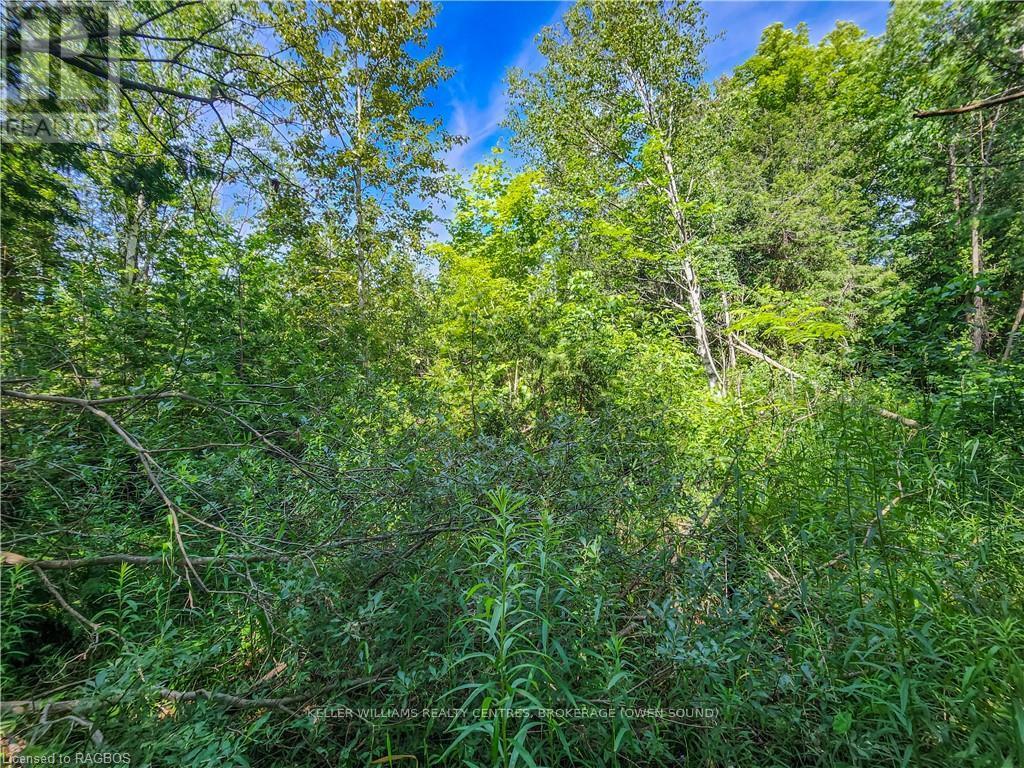 151 Mallard St, Georgian Bluffs, Ontario  N0H 2T0 - Photo 14 - X10847419