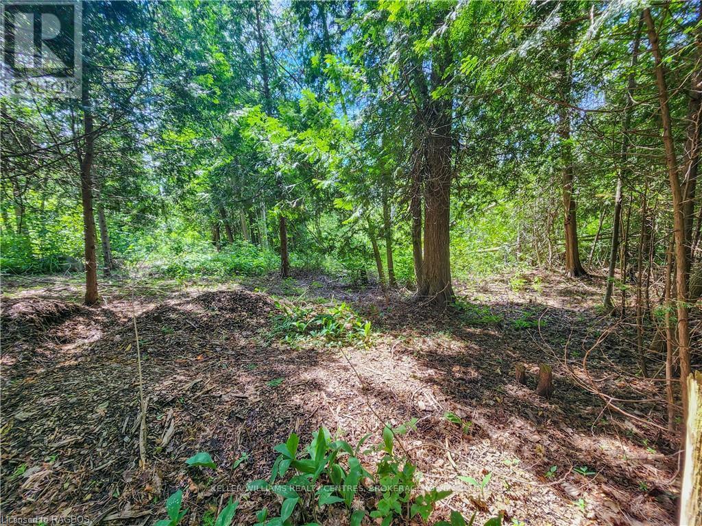 151 Mallard St, Georgian Bluffs, Ontario  N0H 2T0 - Photo 16 - X10847419