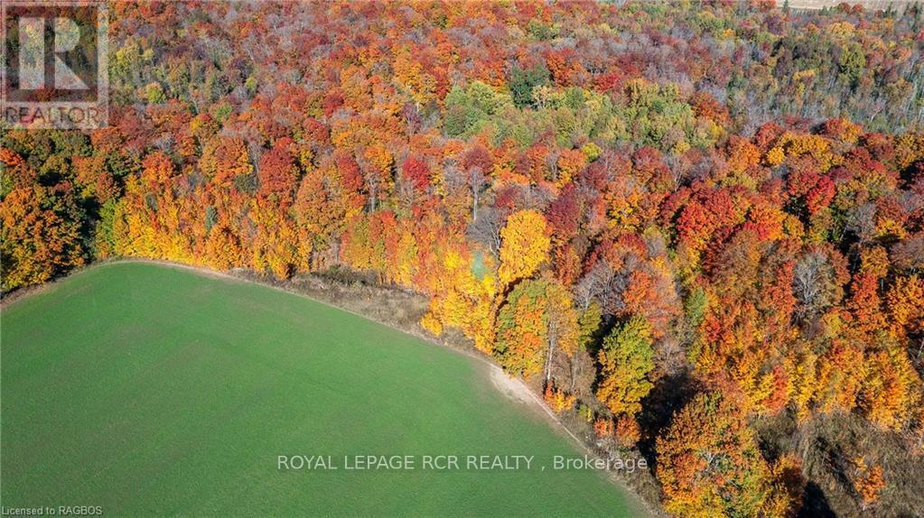 Lot 15 Southgate Rd 24, Southgate, Ontario  N0G 1R0 - Photo 17 - X10847073