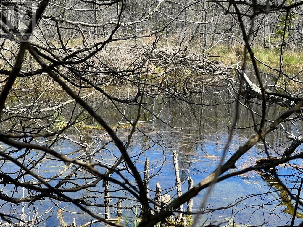 Lot 32 Highway 6, South Bruce Peninsula, Ontario  N0H 2T0 - Photo 10 - X10848014