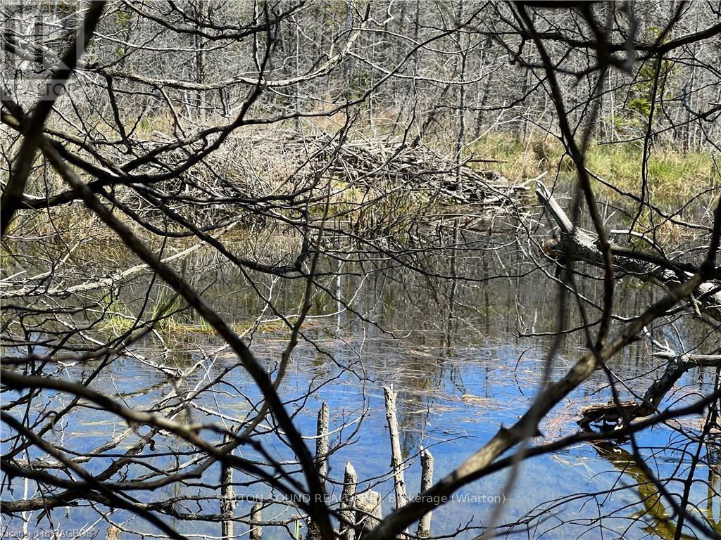 Lot 32 Highway 6, South Bruce Peninsula, Ontario  N0H 2T0 - Photo 11 - X10848014