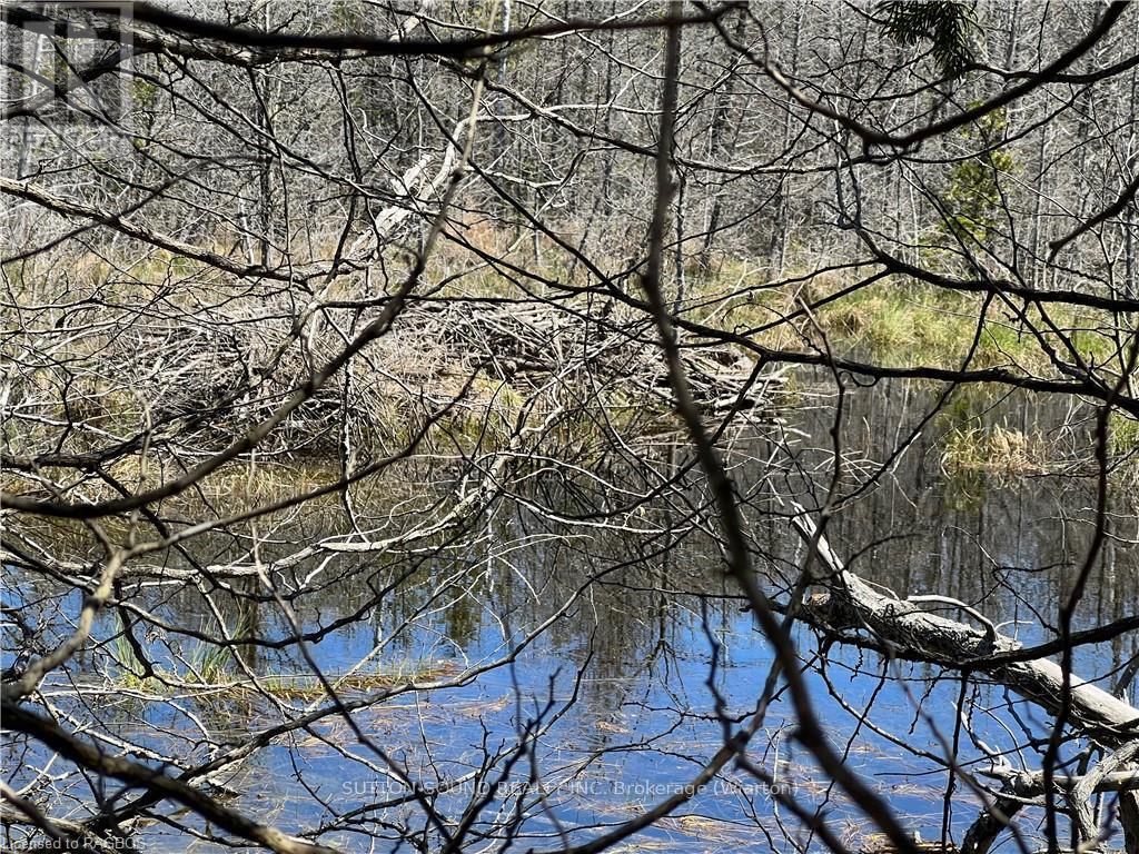 Lot 32 Highway 6, South Bruce Peninsula, Ontario  N0H 2T0 - Photo 12 - X10848014