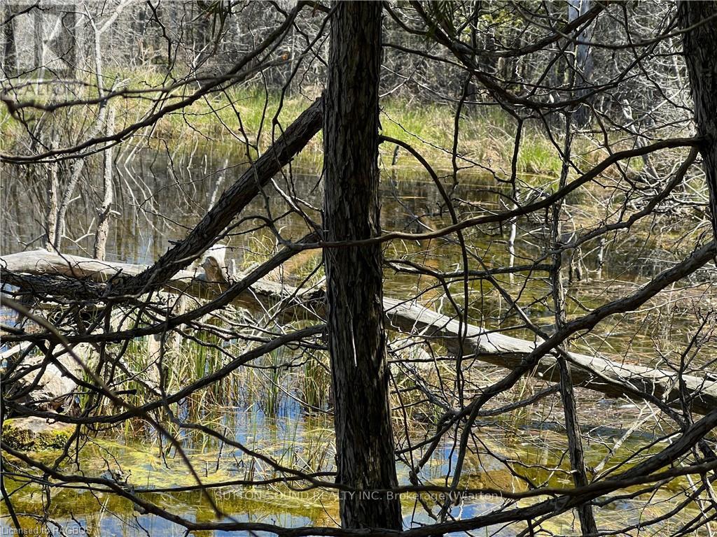 Lot 32 Highway 6, South Bruce Peninsula, Ontario  N0H 2T0 - Photo 13 - X10848014