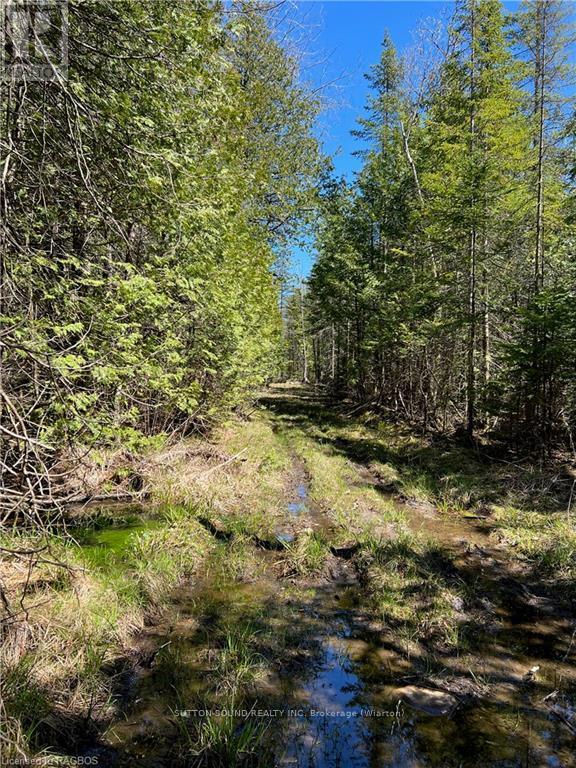 Lot 32 Highway 6, South Bruce Peninsula, Ontario  N0H 2T0 - Photo 15 - X10848014