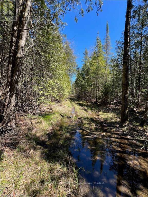 Lot 32 Highway 6, South Bruce Peninsula, Ontario  N0H 2T0 - Photo 17 - X10848014