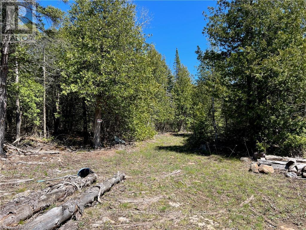 Lot 32 Highway 6, South Bruce Peninsula, Ontario  N0H 2T0 - Photo 4 - X10848014