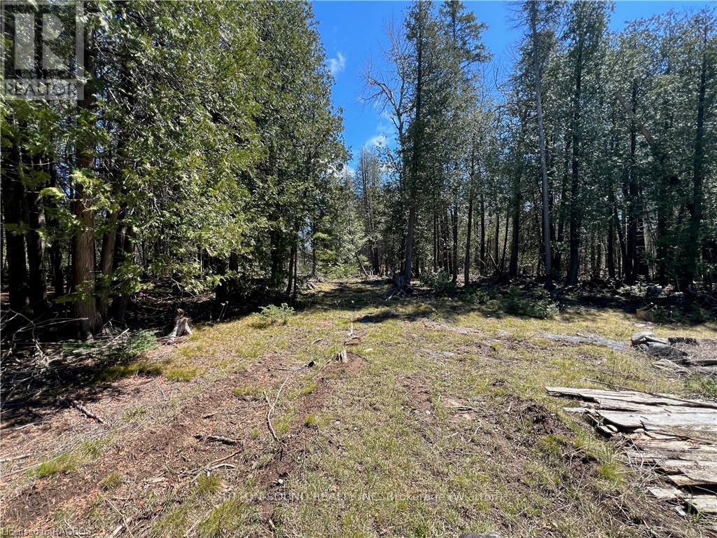 Lot 32 Highway 6, South Bruce Peninsula, Ontario  N0H 2T0 - Photo 6 - X10848014