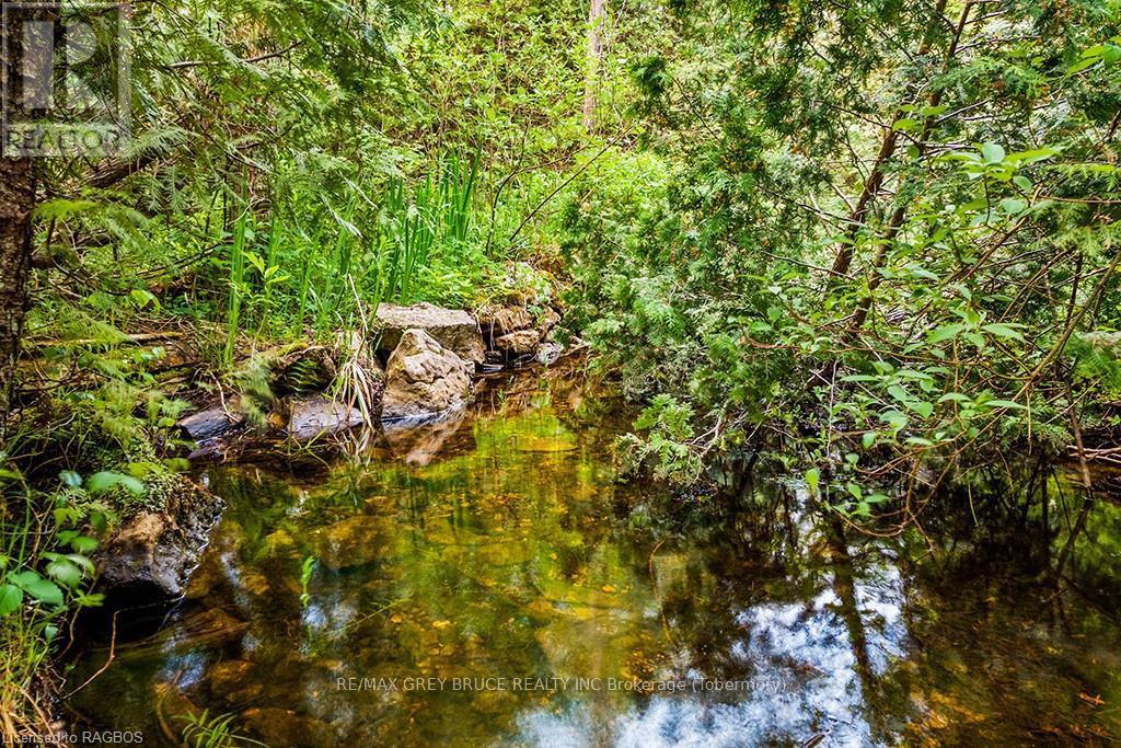 Lot 53 Spry Shore Road, Northern Bruce Peninsula, Ontario  N0H 1W0 - Photo 13 - X10846629