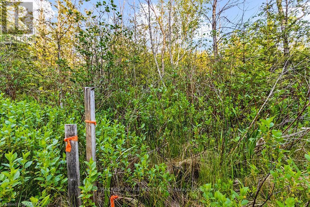Lot 53 Spry Shore Road, Northern Bruce Peninsula, Ontario  N0H 1W0 - Photo 16 - X10846629