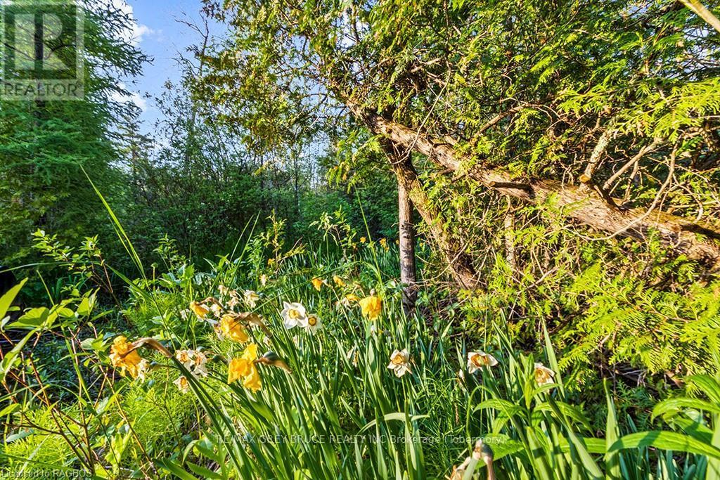 Lot 53 Spry Shore Road, Northern Bruce Peninsula, Ontario  N0H 1W0 - Photo 17 - X10846629