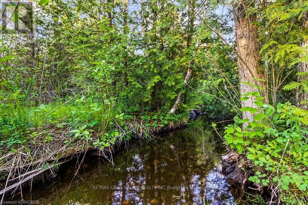 Lot 53 Spry Shore Road, Northern Bruce Peninsula, Ontario  N0H 1W0 - Photo 18 - X10846629