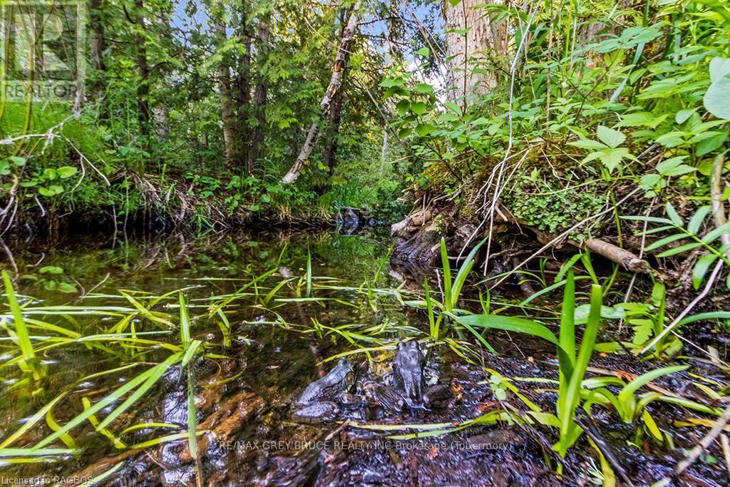Lot 53 Spry Shore Road, Northern Bruce Peninsula, Ontario  N0H 1W0 - Photo 19 - X10846629