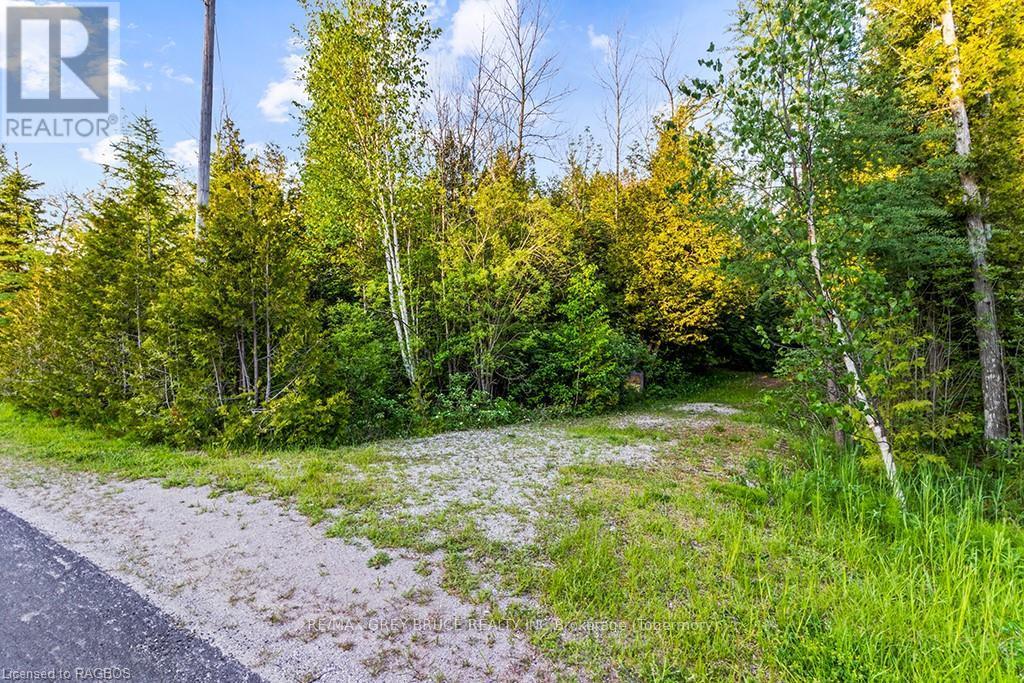 Lot 53 Spry Shore Road, Northern Bruce Peninsula, Ontario  N0H 1W0 - Photo 20 - X10846629