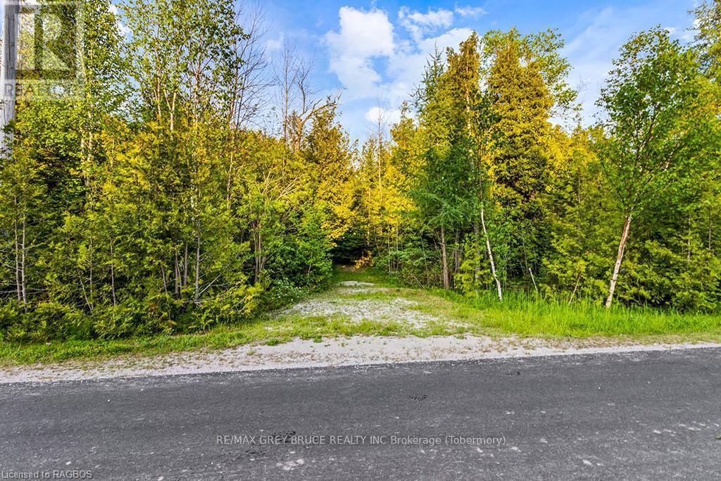 Lot 53 Spry Shore Road, Northern Bruce Peninsula, Ontario  N0H 1W0 - Photo 21 - X10846629
