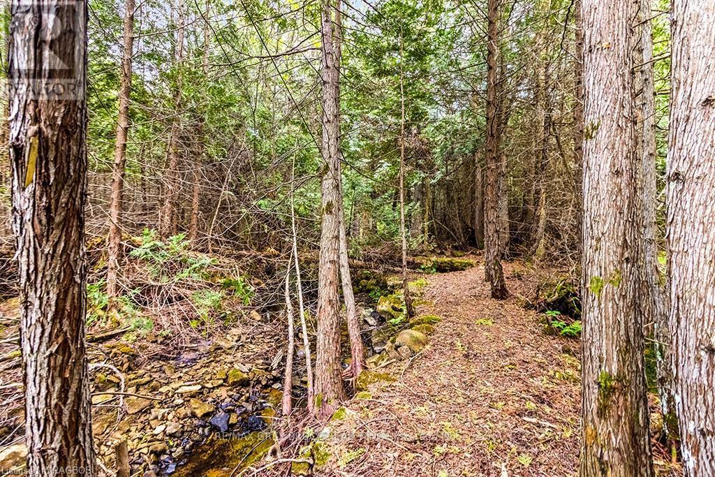 Lot 53 Spry Shore Road, Northern Bruce Peninsula, Ontario  N0H 1W0 - Photo 27 - X10846629
