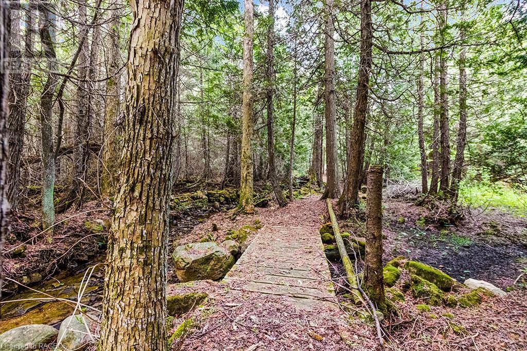 Lot 53 Spry Shore Road, Northern Bruce Peninsula, Ontario  N0H 1W0 - Photo 28 - X10846629