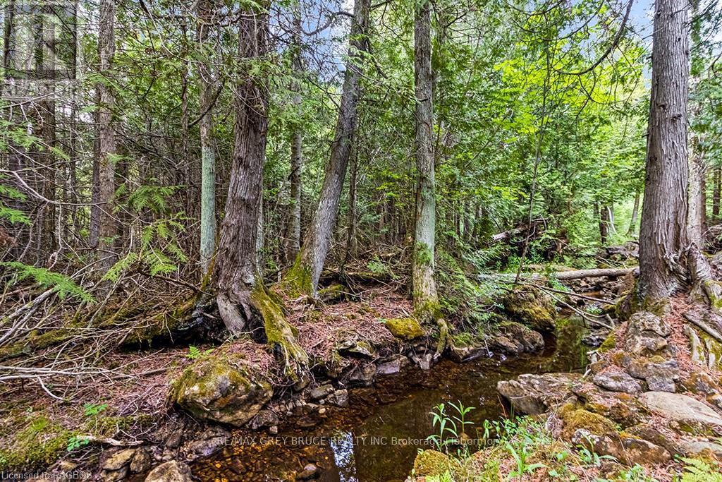 Lot 53 Spry Shore Road, Northern Bruce Peninsula, Ontario  N0H 1W0 - Photo 29 - X10846629