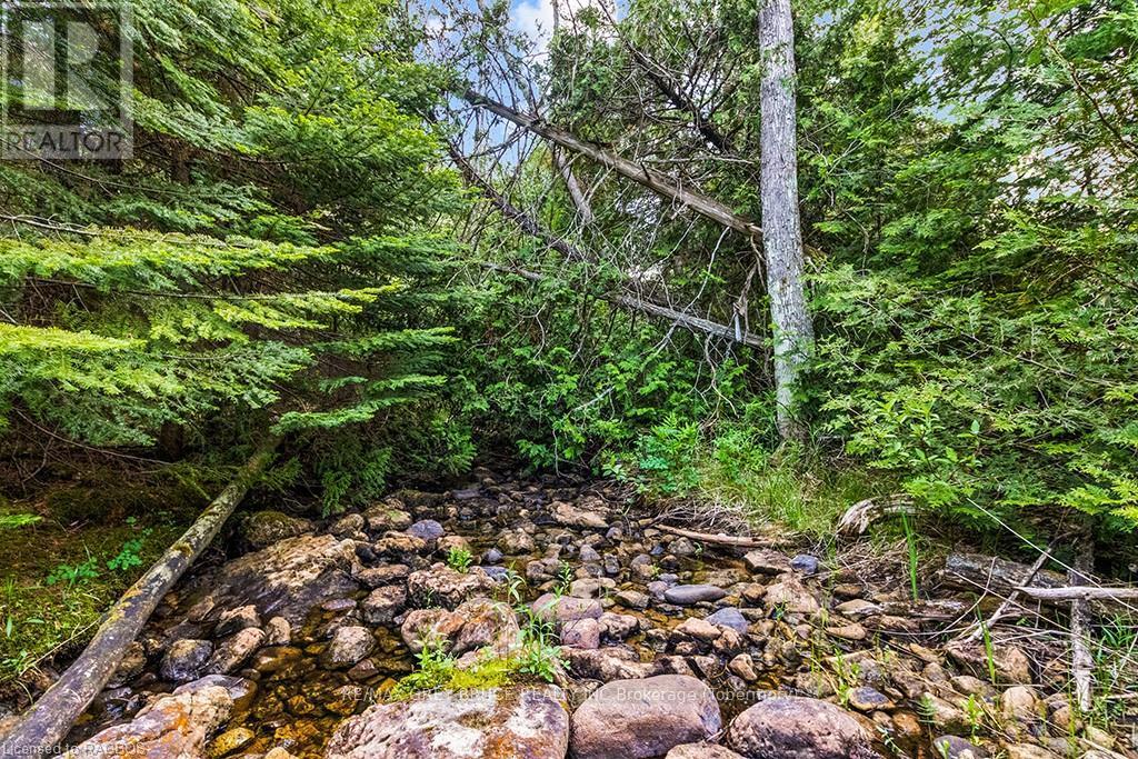 Lot 53 Spry Shore Road, Northern Bruce Peninsula, Ontario  N0H 1W0 - Photo 31 - X10846629