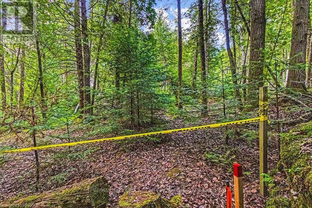 Lot 53 Spry Shore Road, Northern Bruce Peninsula, Ontario  N0H 1W0 - Photo 33 - X10846629