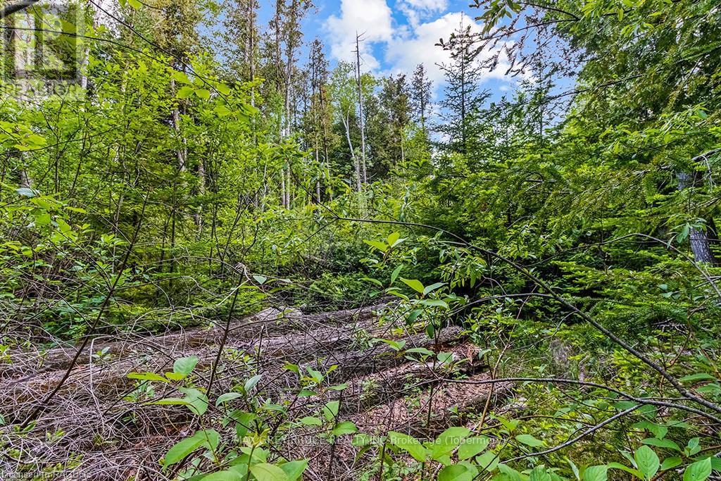 Lot 53 Spry Shore Road, Northern Bruce Peninsula, Ontario  N0H 1W0 - Photo 34 - X10846629