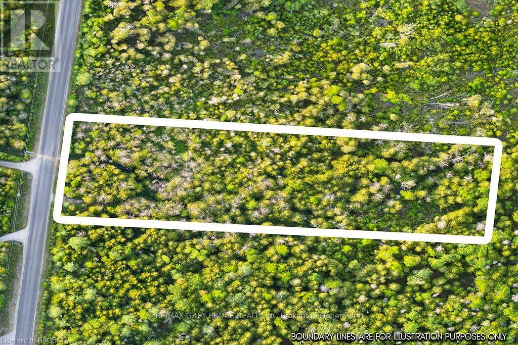 Lot 53 Spry Shore Road, Northern Bruce Peninsula, Ontario  N0H 1W0 - Photo 38 - X10846629