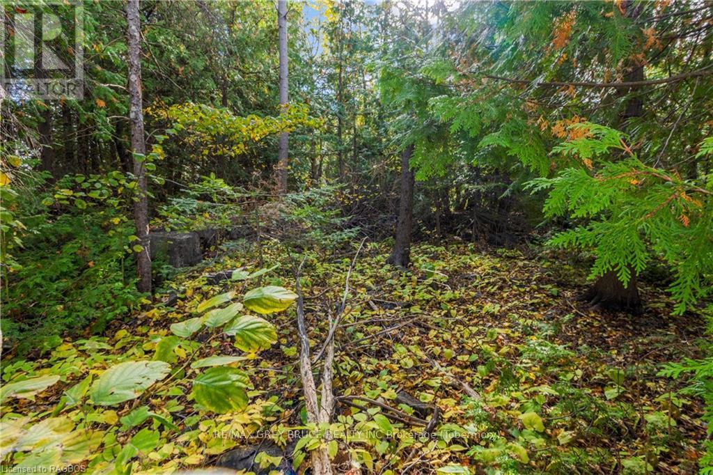 Pt Lt 4 Nicholas Street, Northern Bruce Peninsula, Ontario  N0H 2R0 - Photo 14 - X10846869