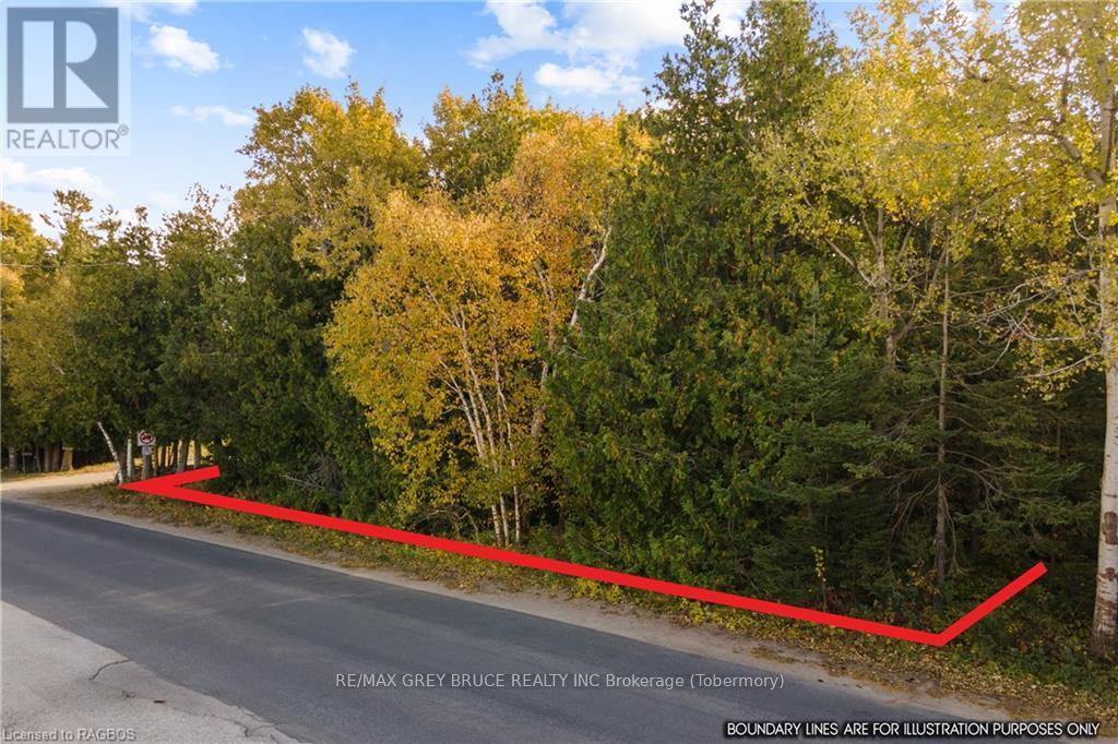 Pt Lt 4 Nicholas Street, Northern Bruce Peninsula, Ontario  N0H 2R0 - Photo 2 - X10846869