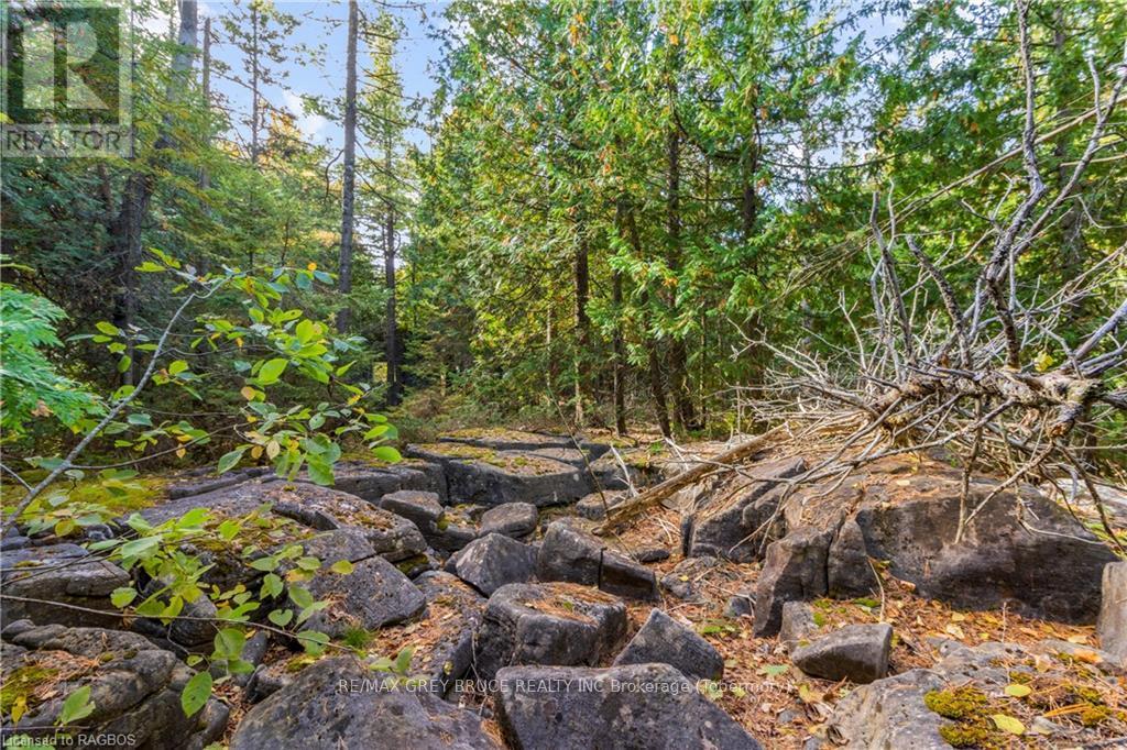 Pt Lt 4 Nicholas Street, Northern Bruce Peninsula, Ontario  N0H 2R0 - Photo 21 - X10846869