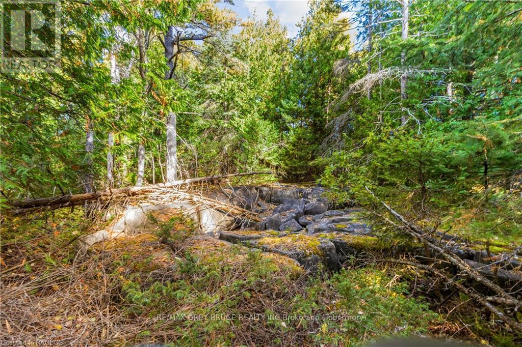 Pt Lt 4 Nicholas Street, Northern Bruce Peninsula, Ontario  N0H 2R0 - Photo 23 - X10846869