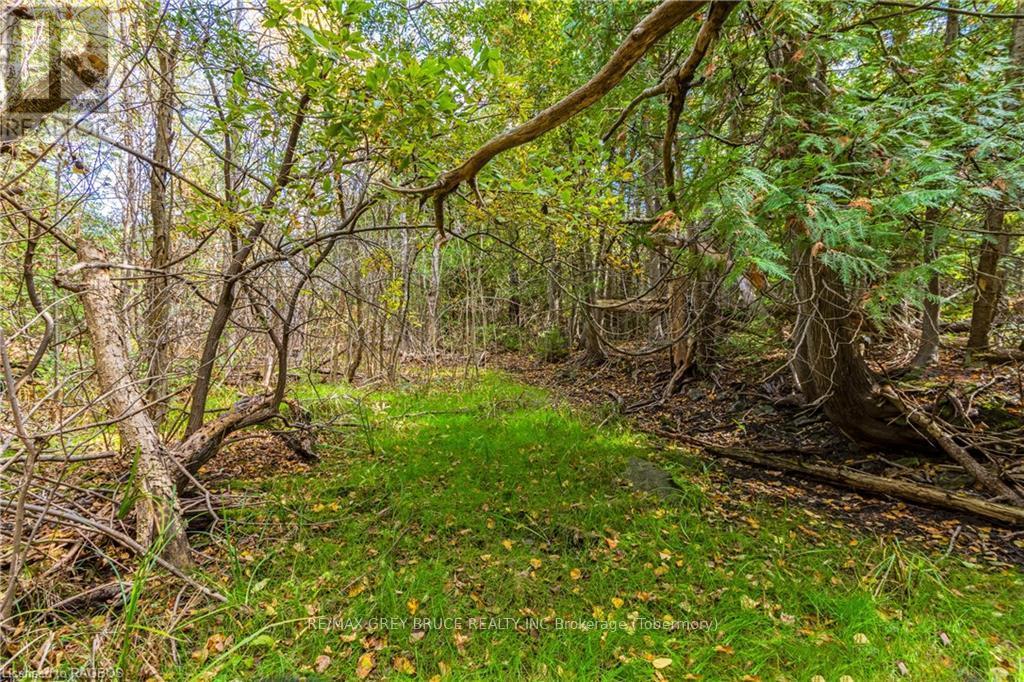 Pt Lt 4 Nicholas Street, Northern Bruce Peninsula, Ontario  N0H 2R0 - Photo 25 - X10846869