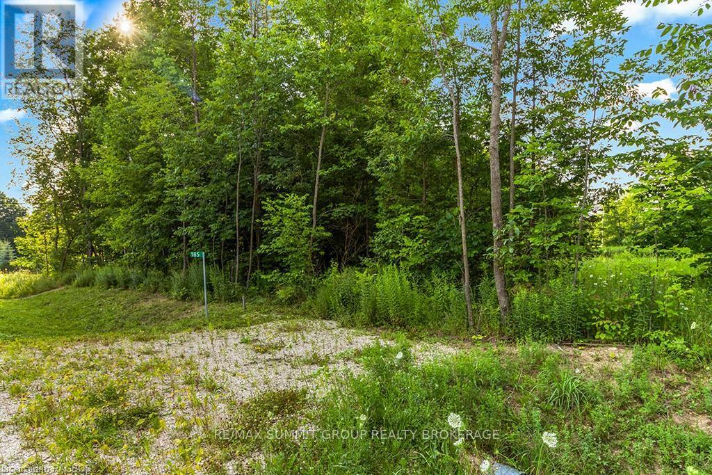 185 Raglan Street, Grey Highlands, Ontario  N0C 1E0 - Photo 5 - X10847344