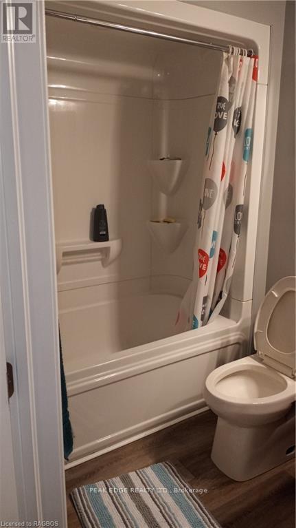 214 Durham Street E, Brockton, Ontario  N0G 2L2 - Photo 20 - X10848141